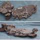 The well-preserved remains of Tongtianlong featured arms outstretched, with neck and head held high—a very unusual orientation for a fossil. (Image: Junchang Lü et al., 2016/Nature Reports)